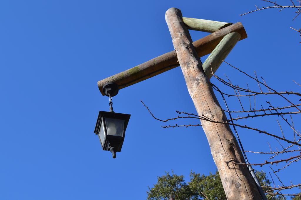 Herdade Do Freixial - Turismo Rural Віла-Нова-де-Мілфонтеш Екстер'єр фото