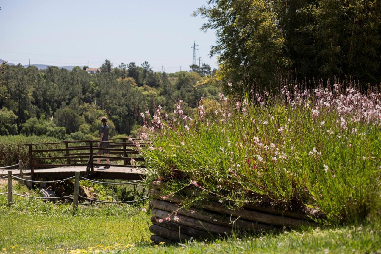 Herdade Do Freixial - Turismo Rural Віла-Нова-де-Мілфонтеш Екстер'єр фото